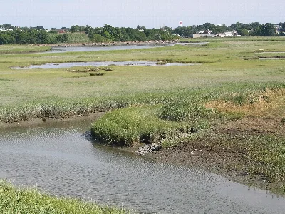 Belle Isle Marsh Reservation
