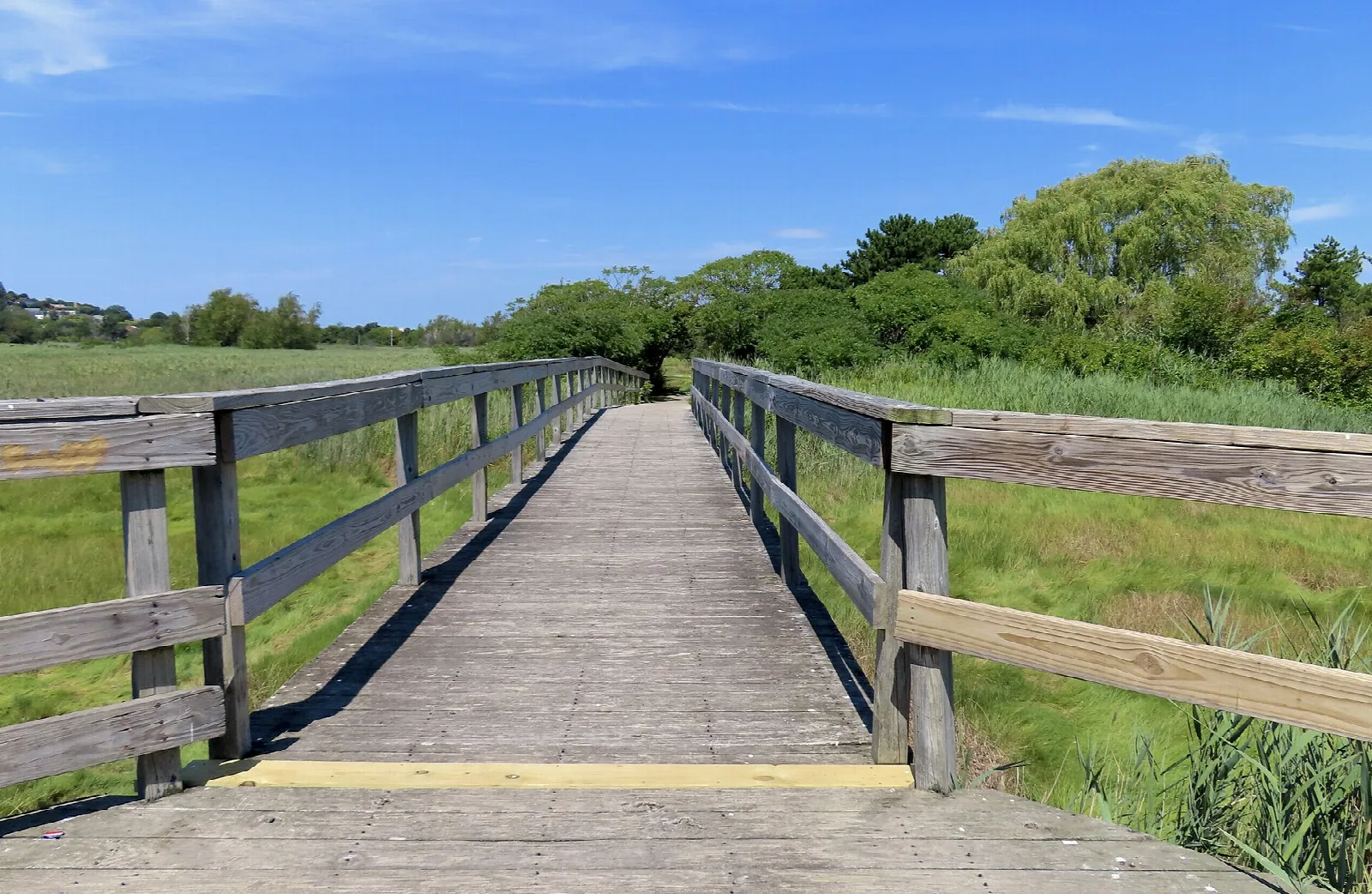 A wooden boardwalk with railings leading through green marsh