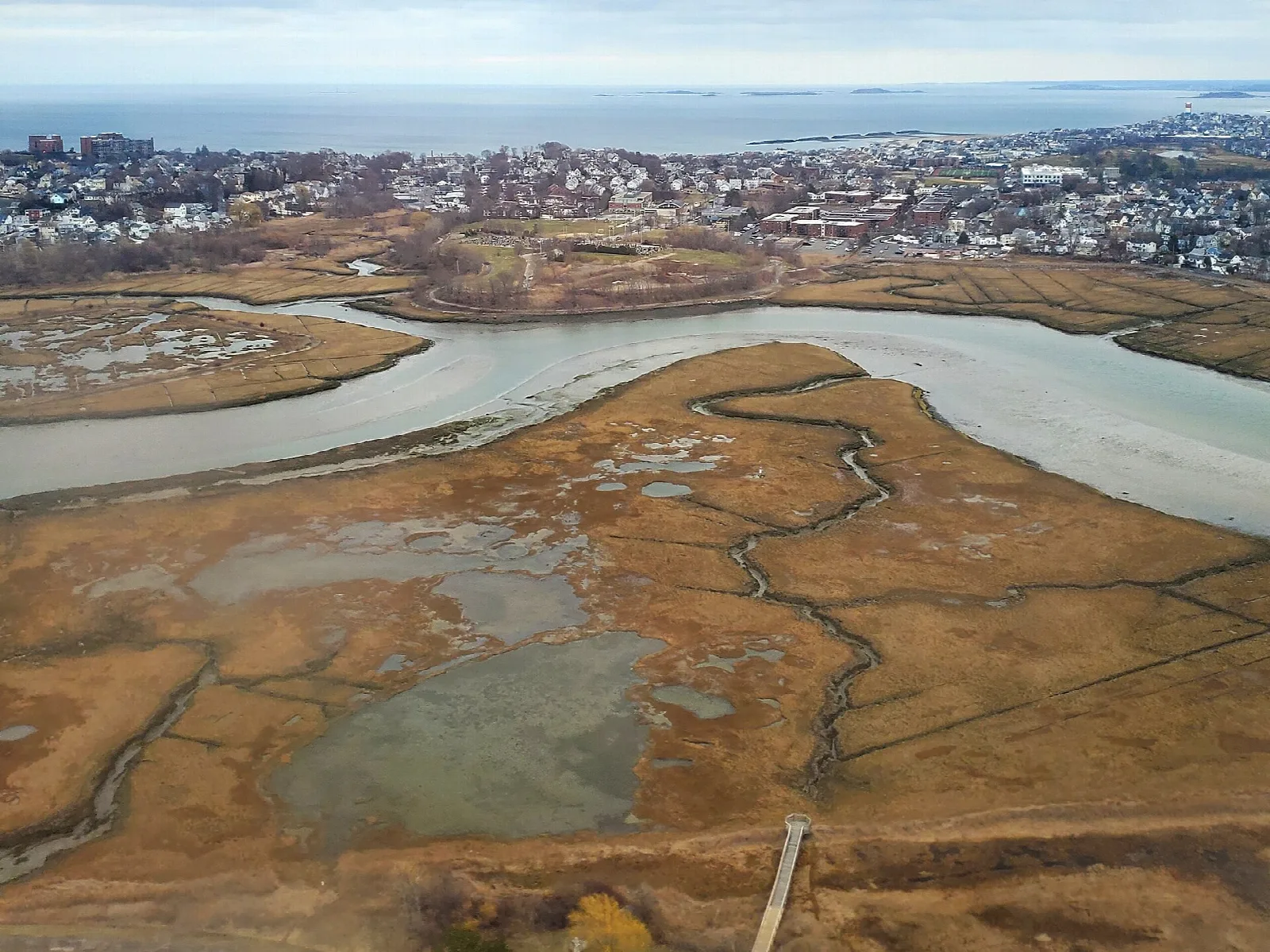 Aerial view of a marsh with winding channels and a town beyond
