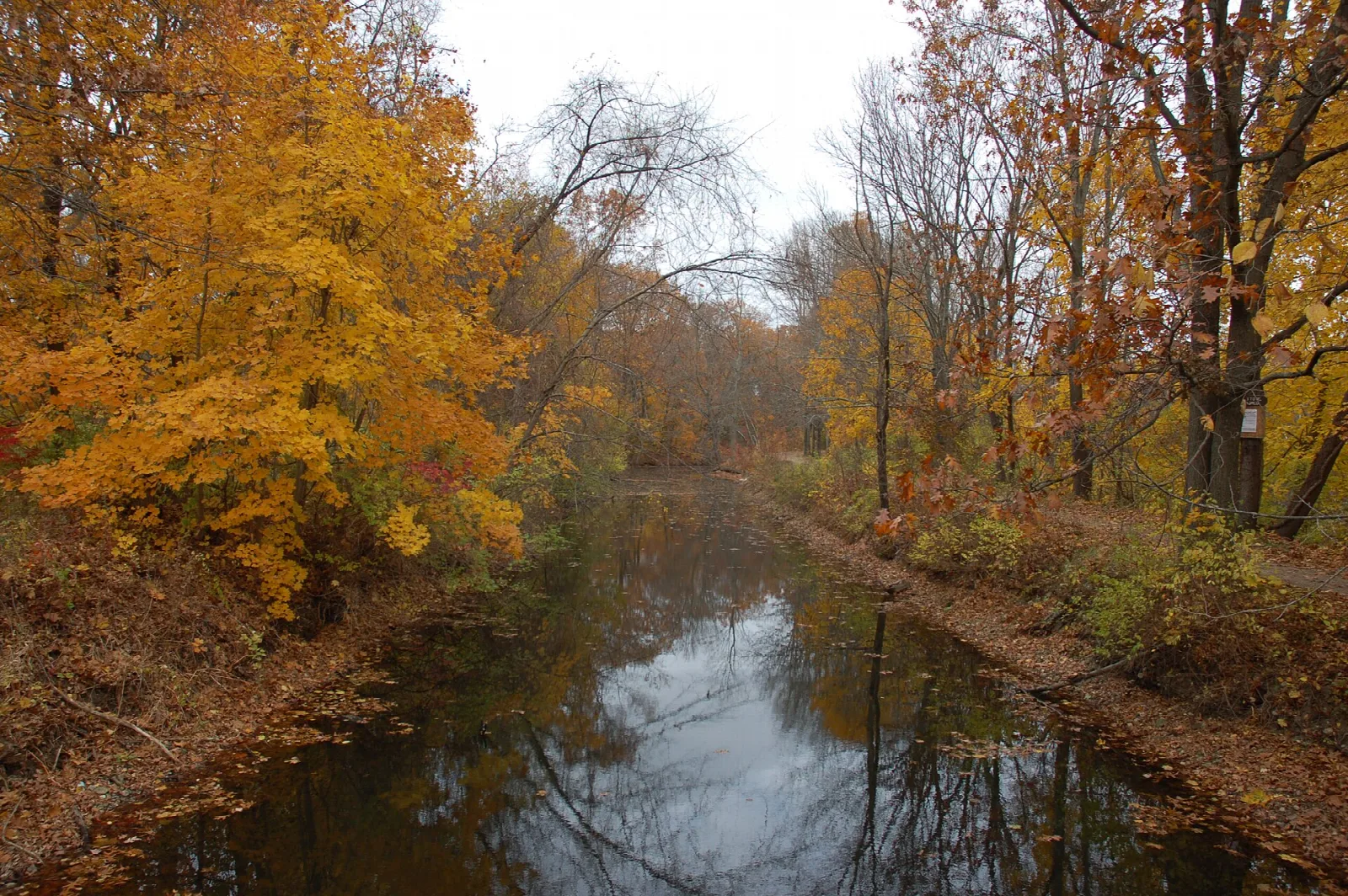 A still canal flanked by orange autumn leaves