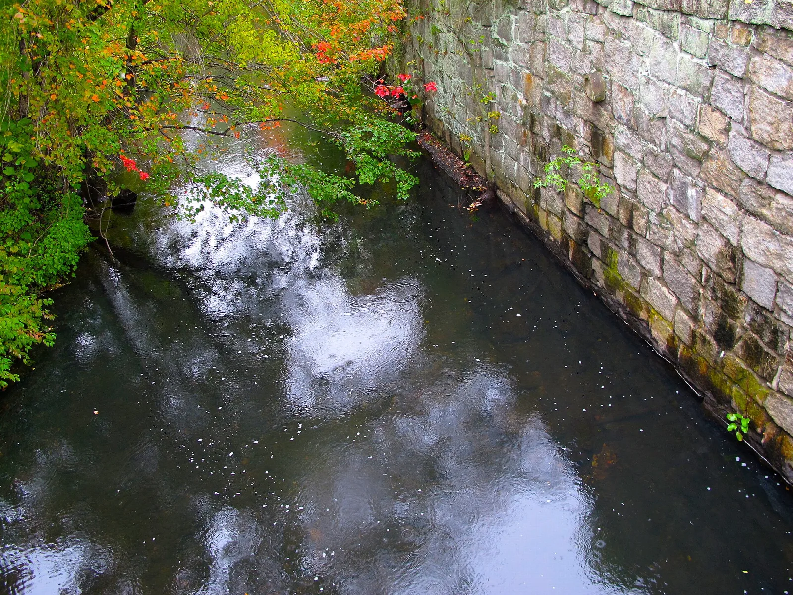 Dark canal water beside a stone wall, with green leaves overhead