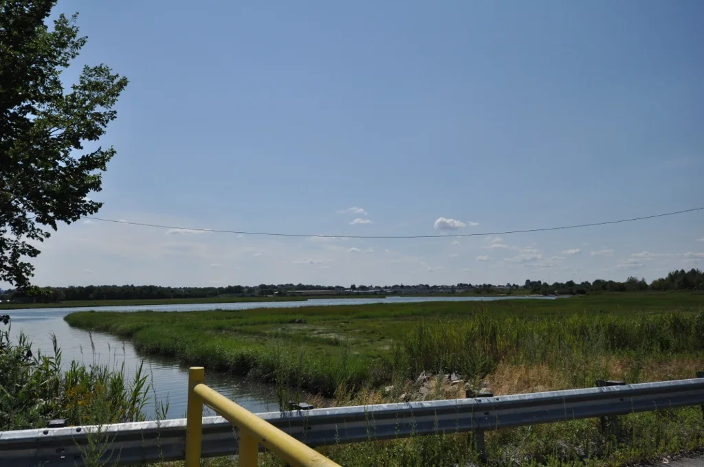 A salt marsh with tall green grass and open sky, beside a road guardrail
