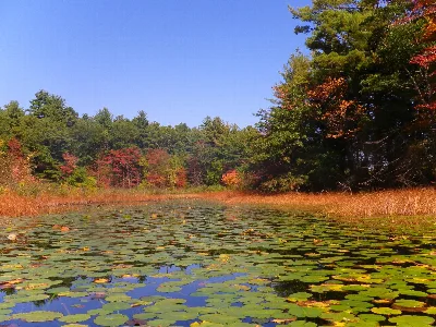 Hampton Ponds State Park