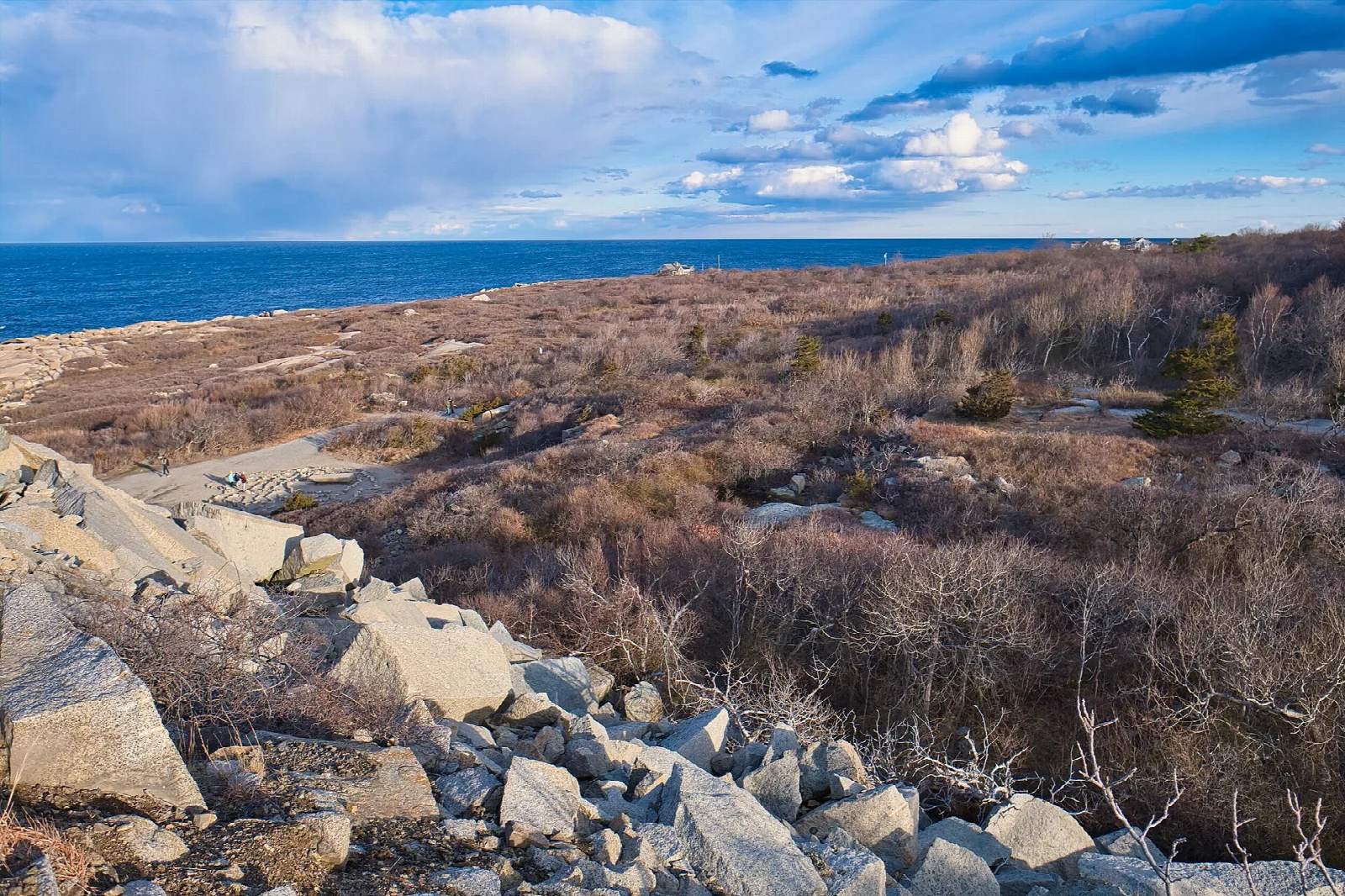 A rocky coastline with scrubby brush and the ocean beyond
