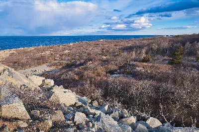 Halibut Point State Park