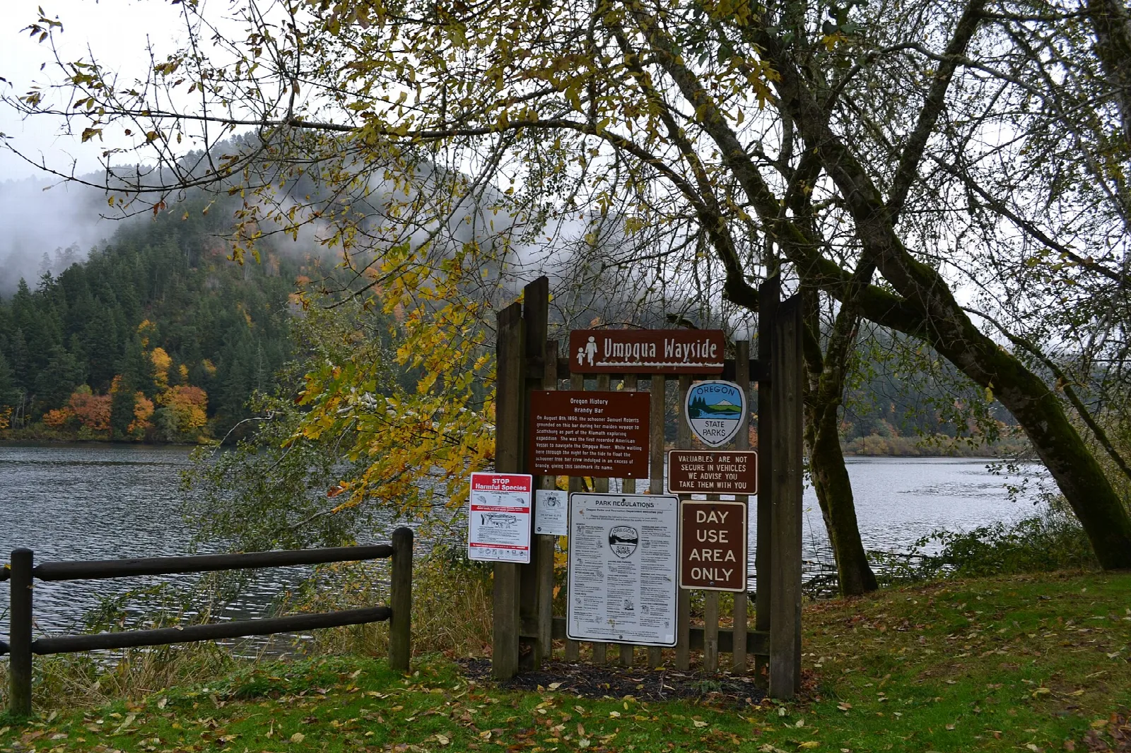 Riverbank with an autumn tree and park signs beside a fence, misty hills across the water