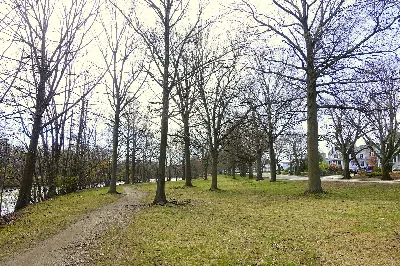 Mystic River Reservation