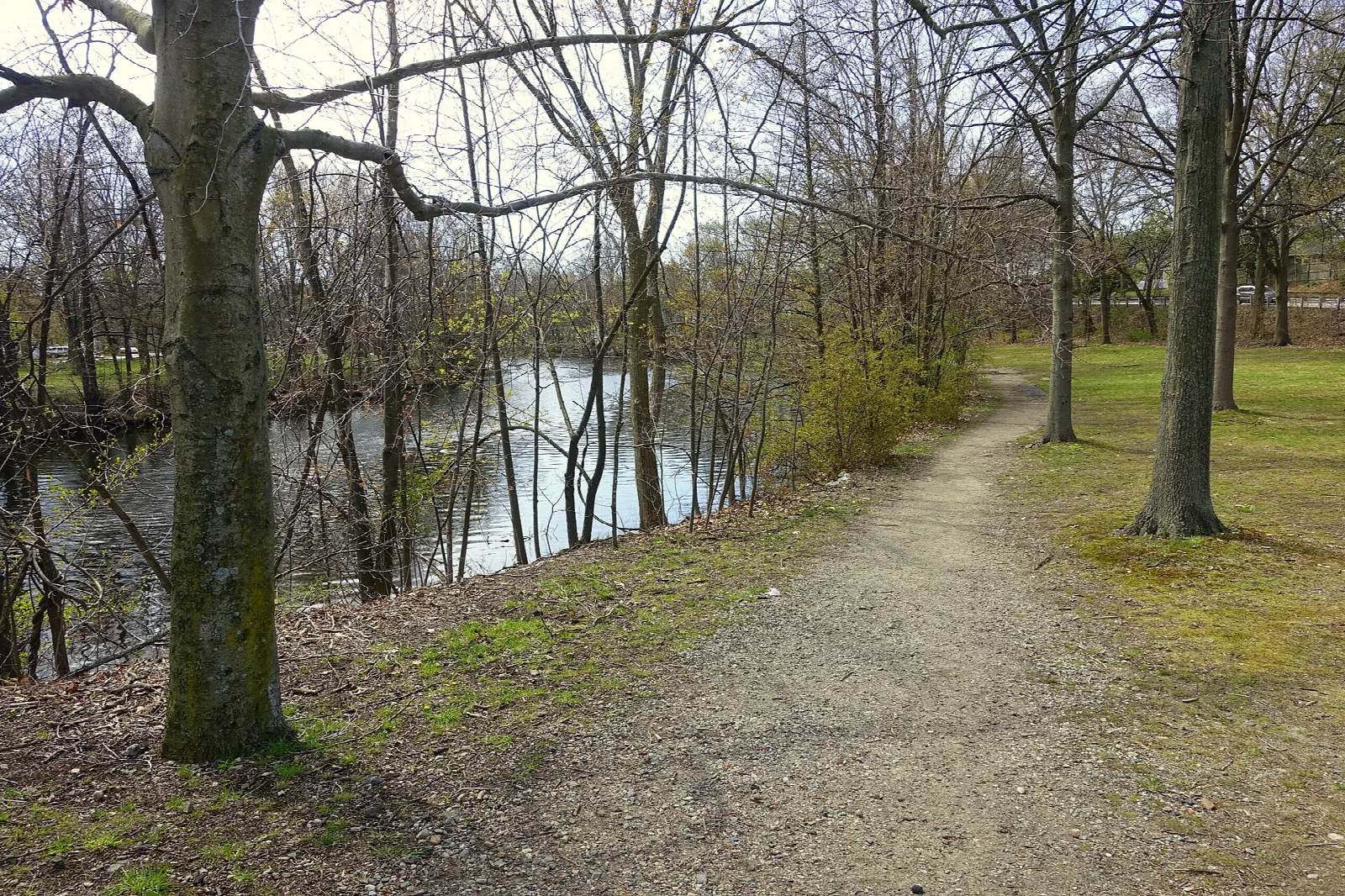 A dirt path along a river lined with bare trees