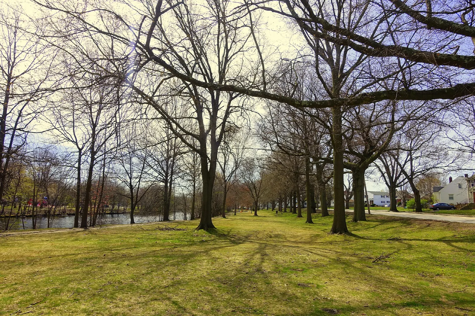 A wide lawn with bare trees along a river