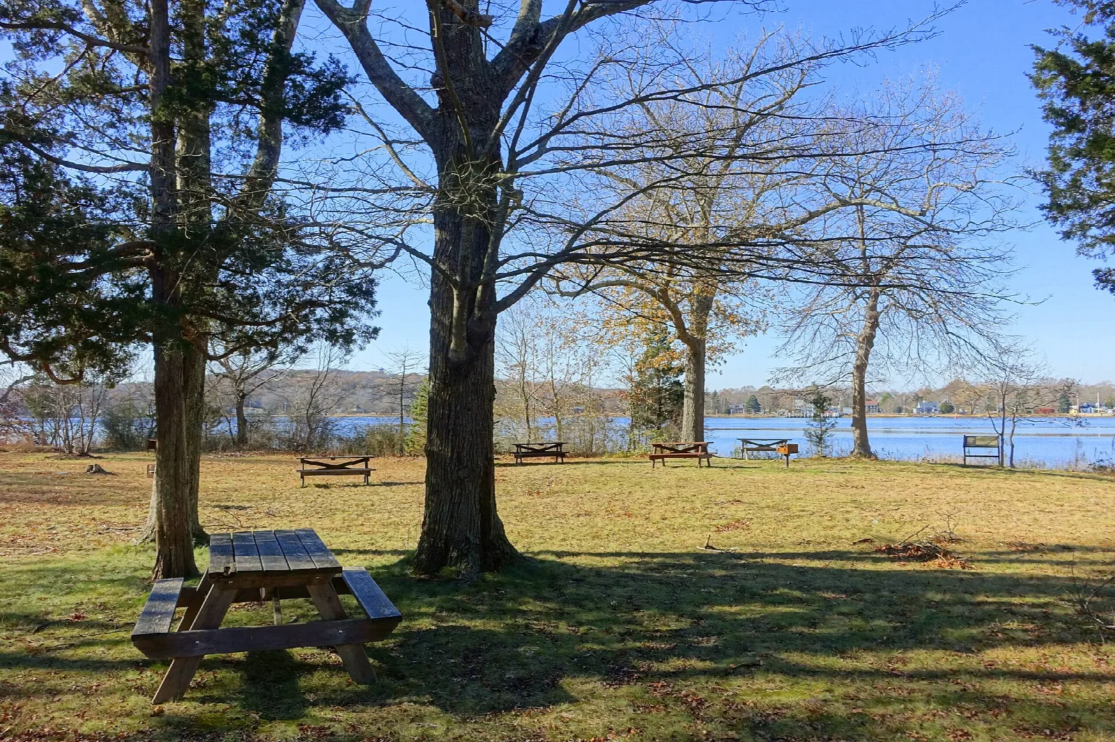 A picnic table under trees on a grassy lawn with the river beyond