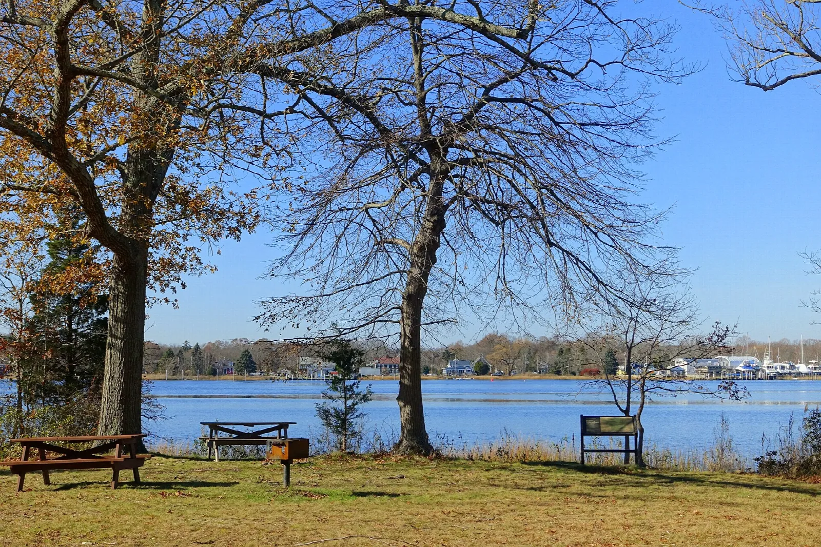 Picnic tables on a lawn under bare trees beside a wide river