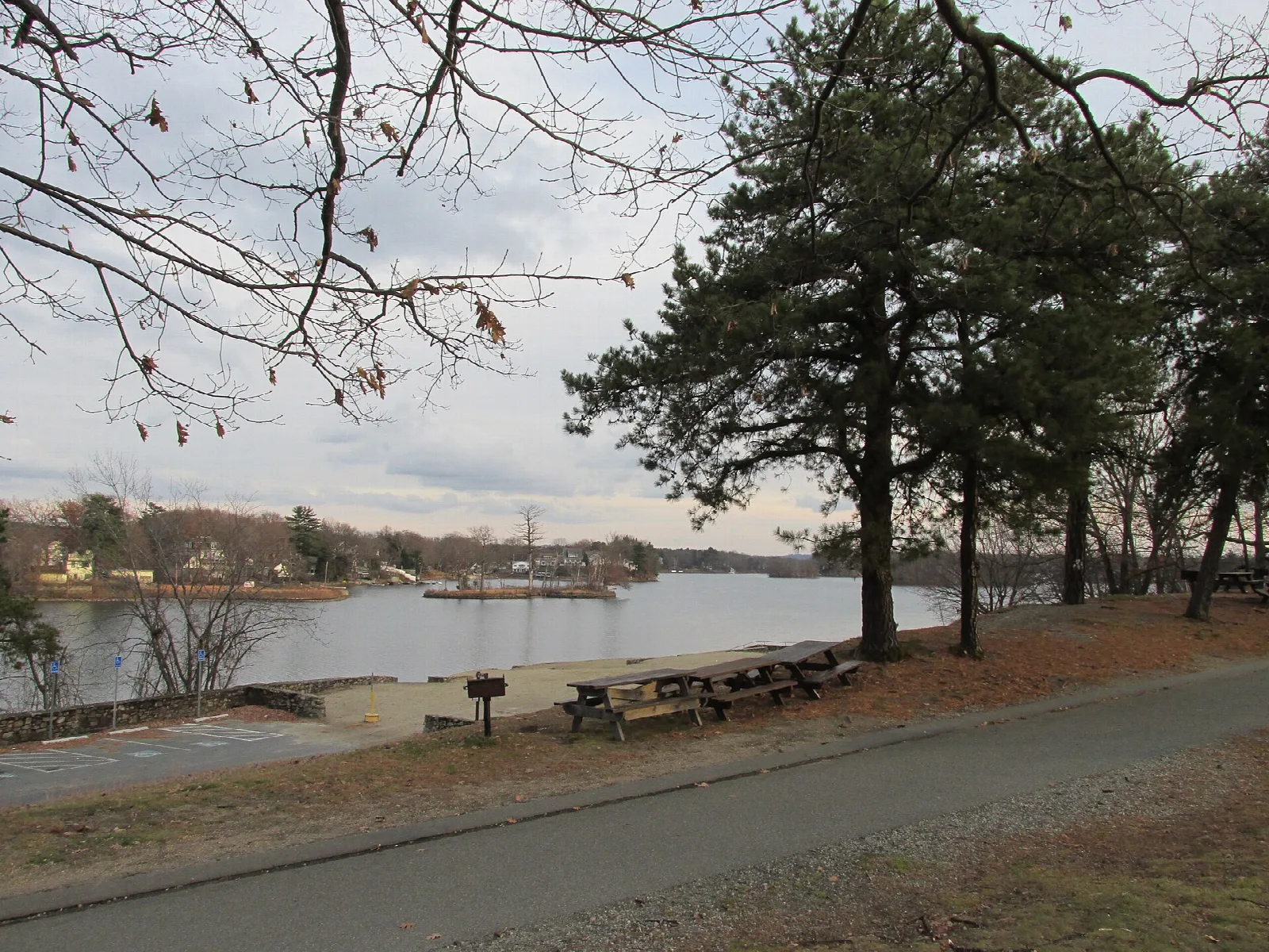 A paved path by a lake with picnic tables and pines