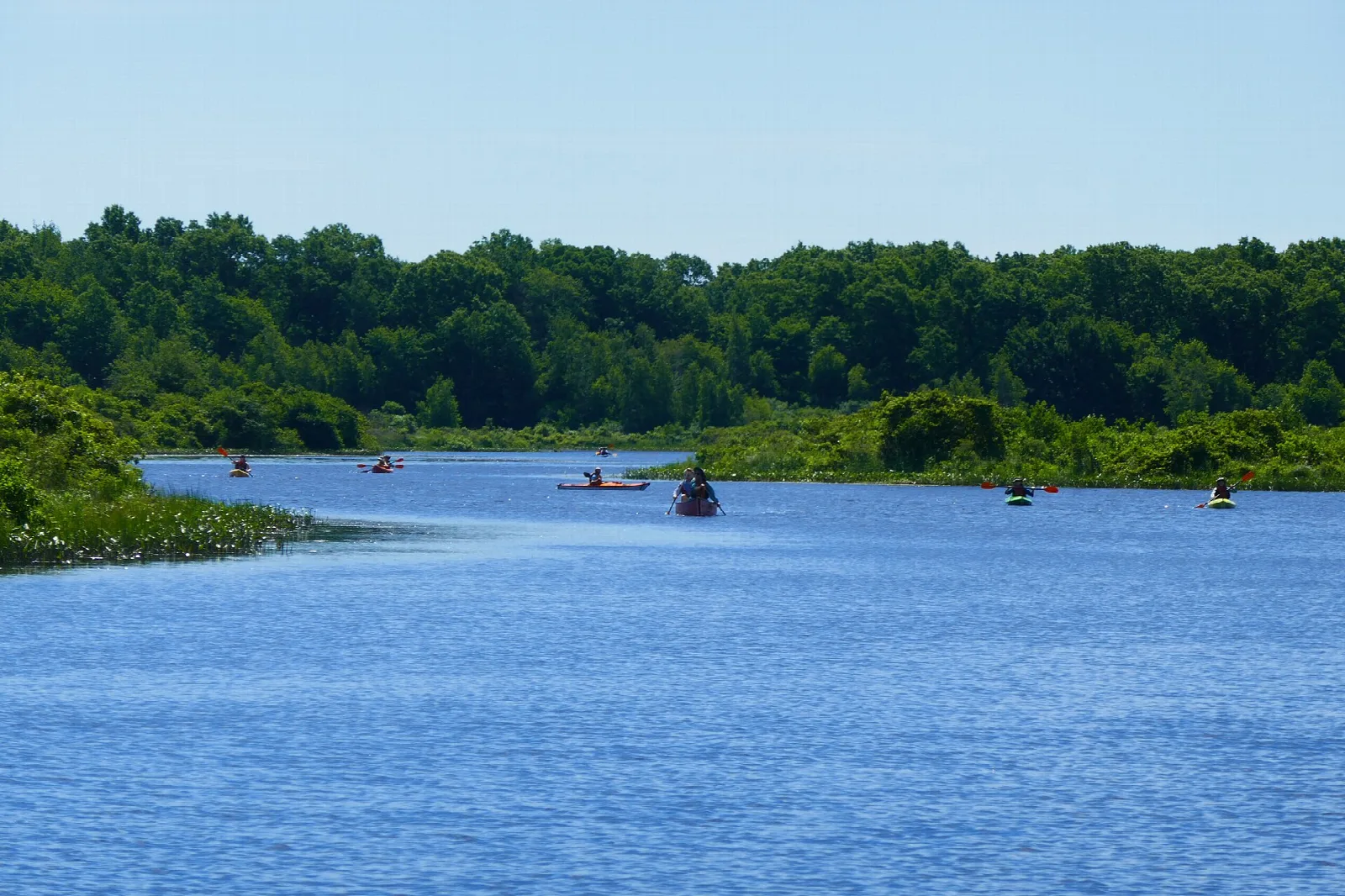 A wide blue river with paddlers in the distance and green woods along the shore
