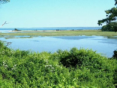 Ellisville Harbor State Park