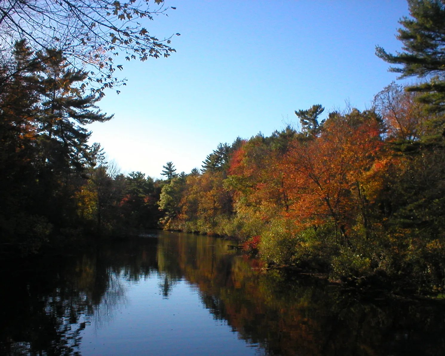A calm river with red and orange autumn trees on its bank under a blue sky