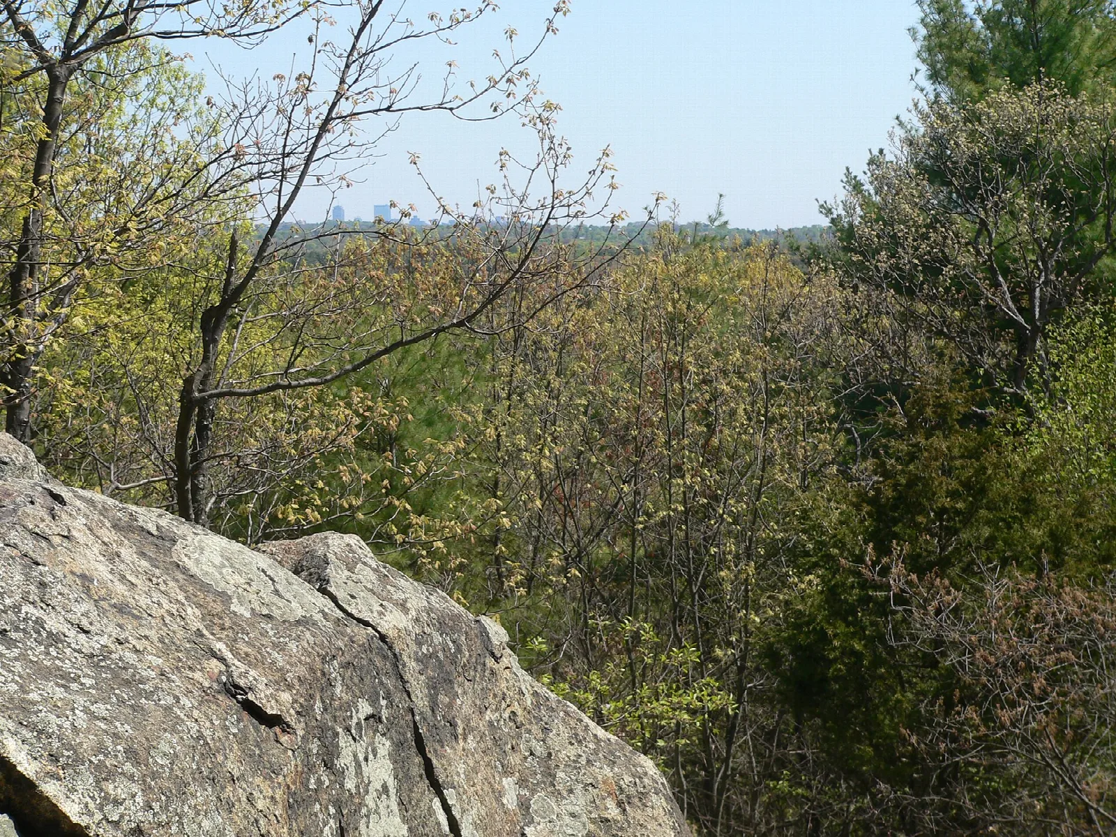 A rock ledge in the foreground with wooded hills and a distant skyline