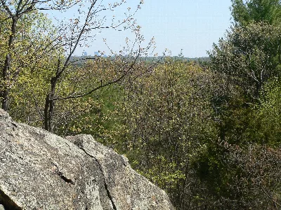 Wilson Mountain Reservation