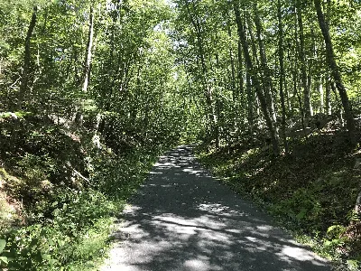 Wompatuck State Park