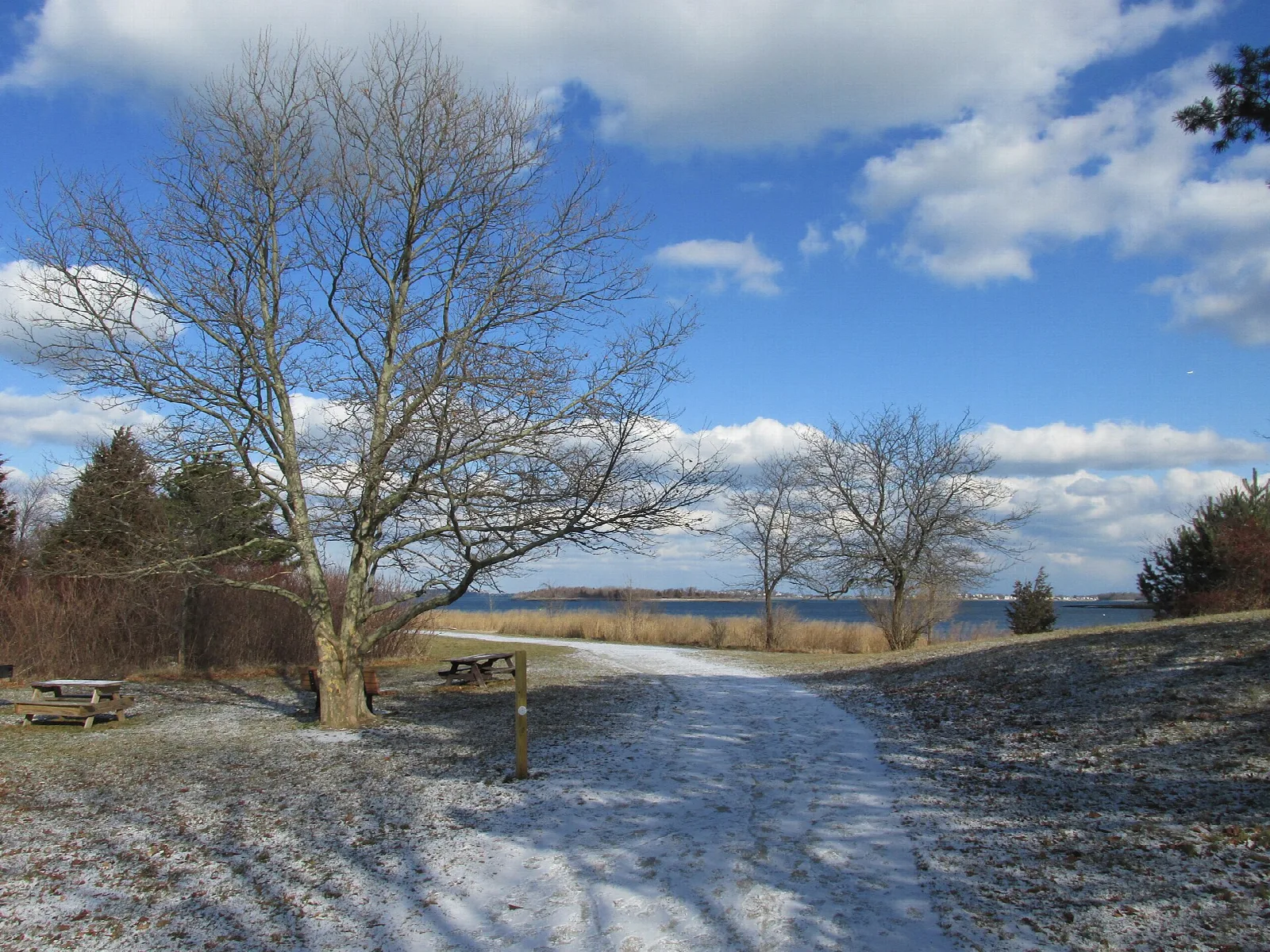 A snowy path past bare trees and picnic tables toward the water