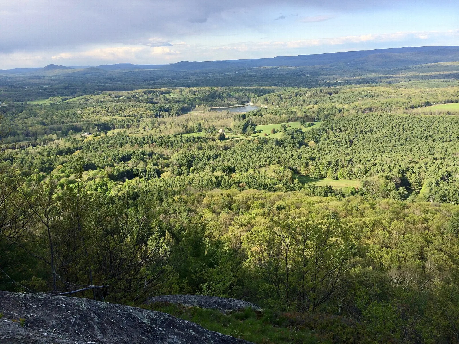A wide forested valley seen from a rock ledge, with a ridge in the distance