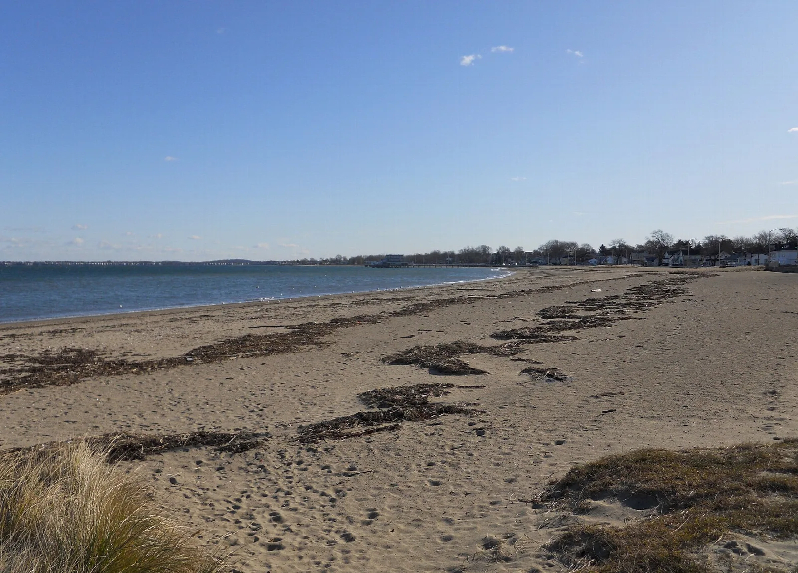 A sandy beach with dune grass beside calm water under blue sky