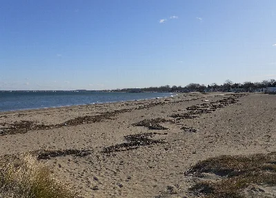 Quincy Shore Reservation