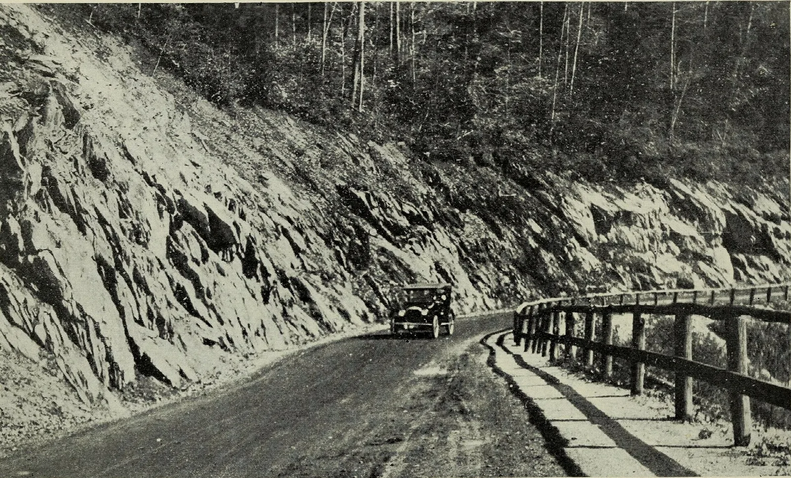 Mohawk Trail State Forest