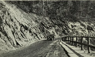 Mohawk Trail State Forest