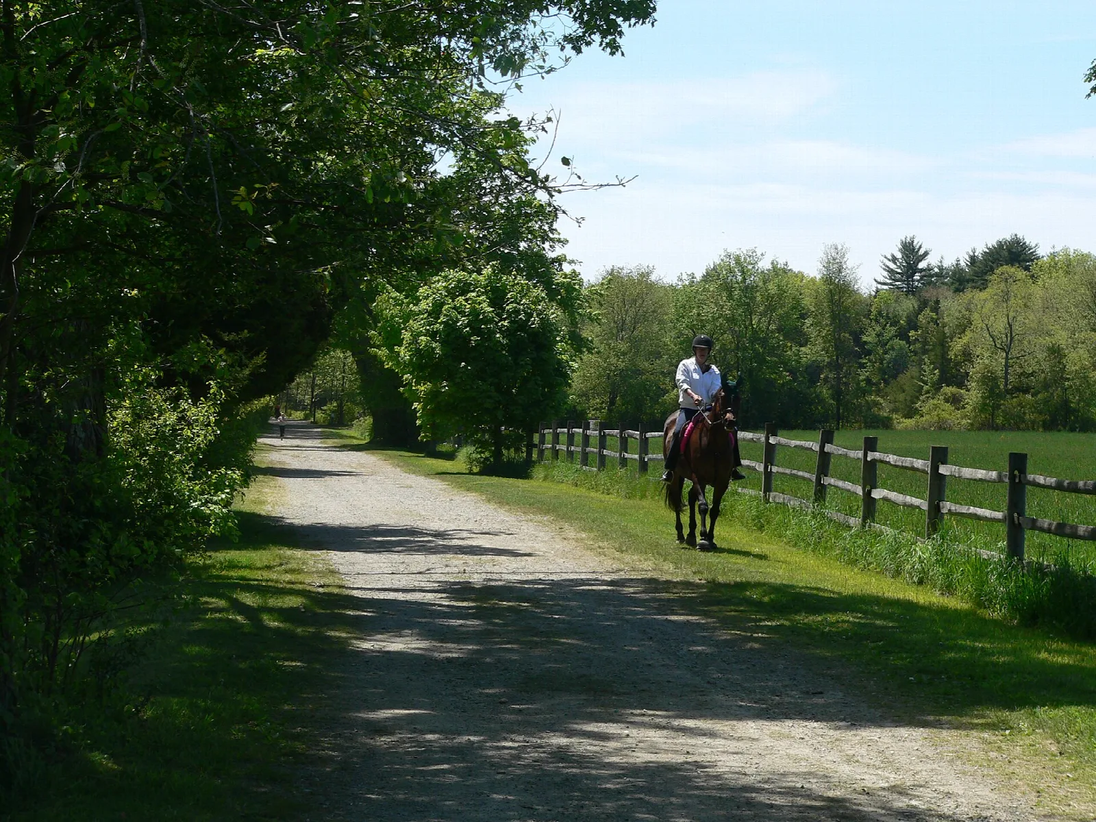 A rider on horseback on a gravel path beside a wood fence