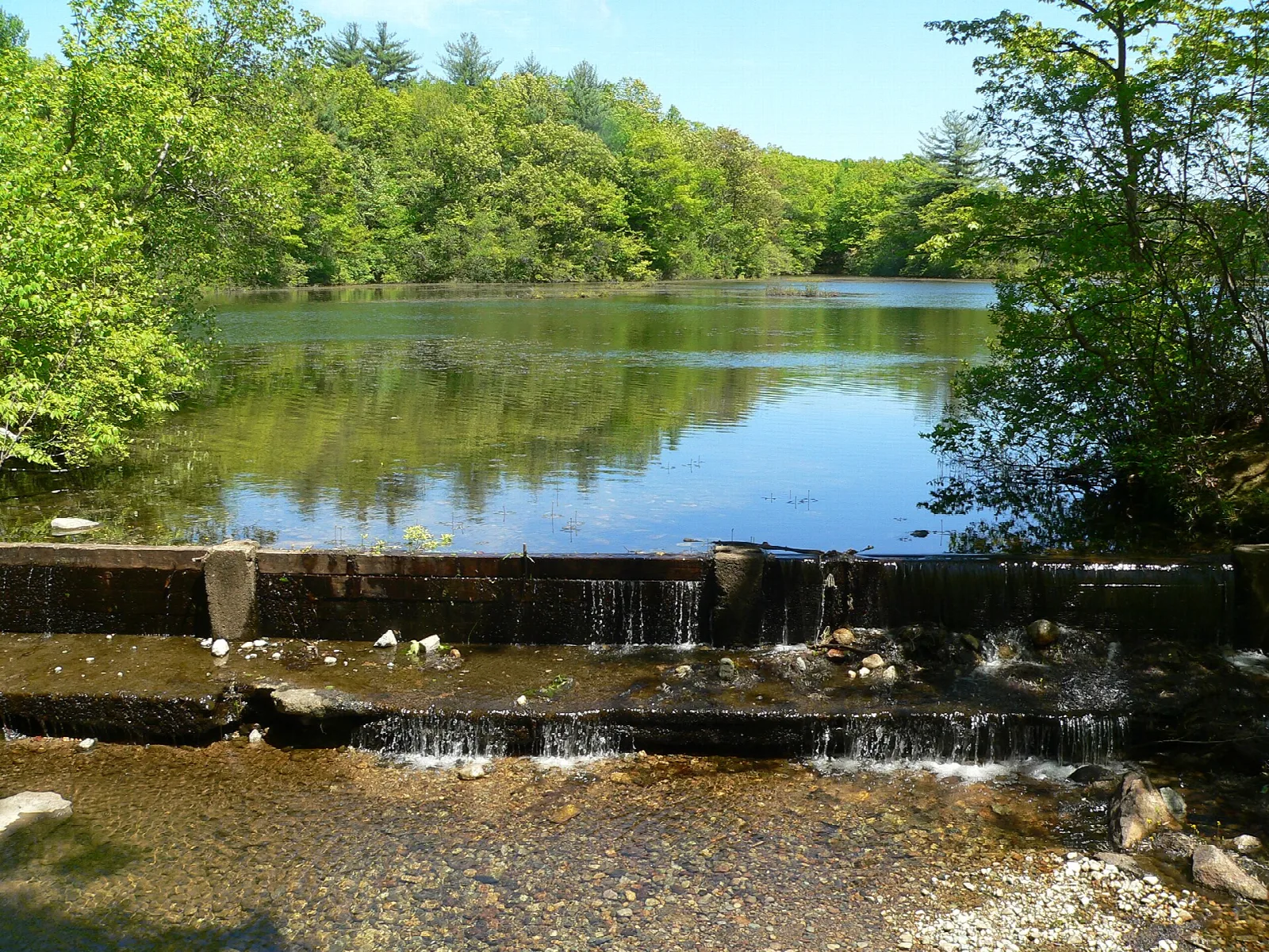 A small waterfall over a low dam into a still pond ringed by trees