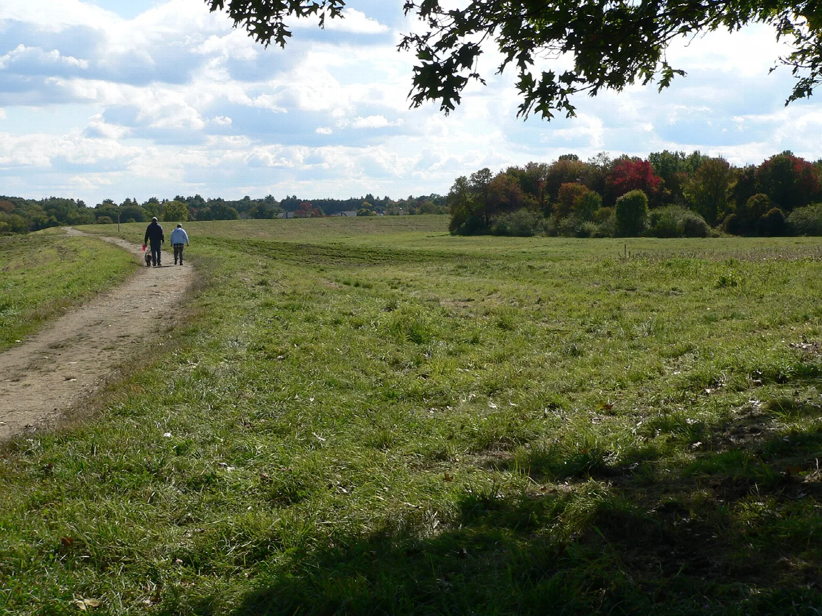 Two walkers on a mown path across an open hilltop field