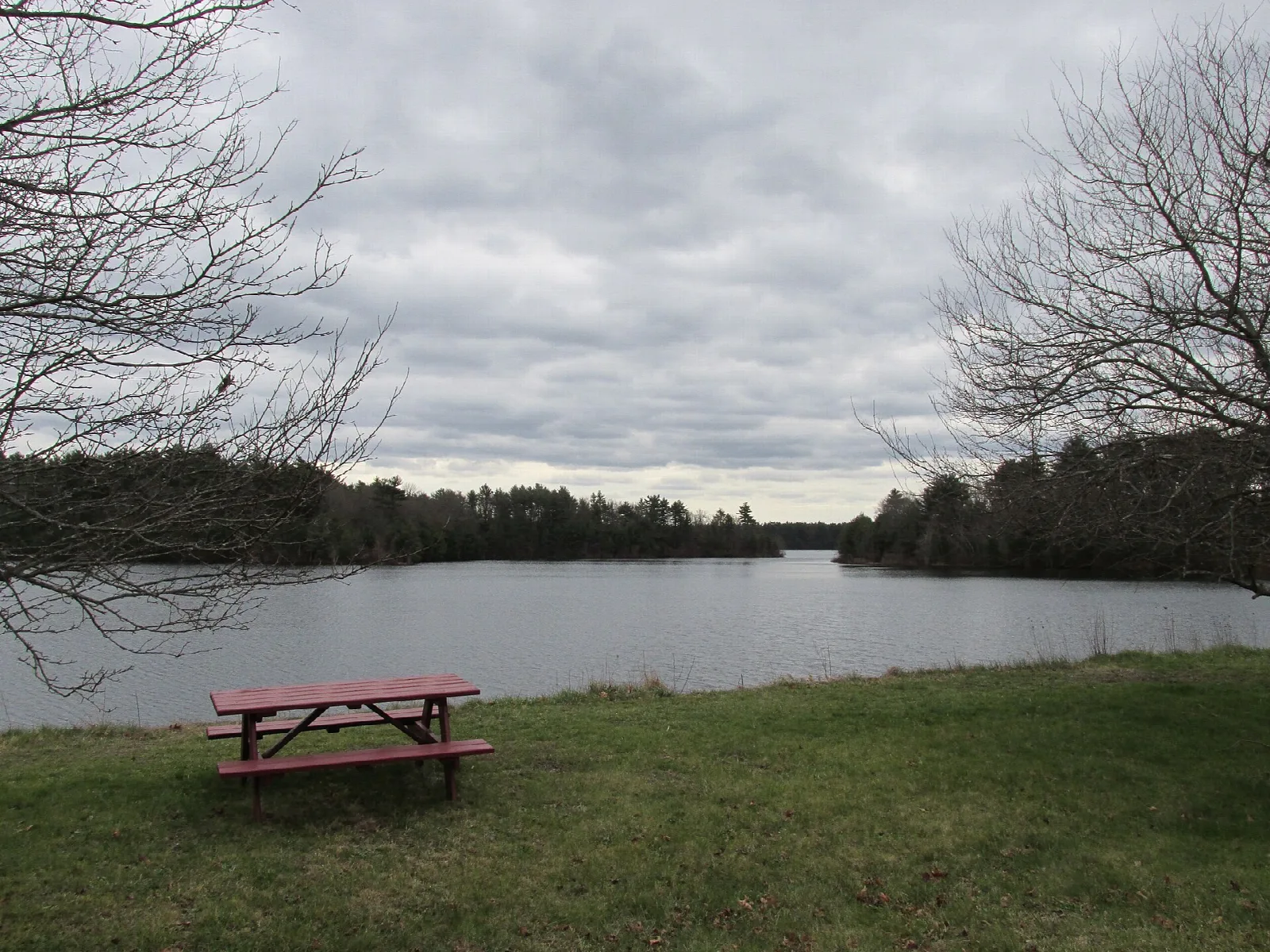 A red picnic table on a lawn beside a pond under a gray sky