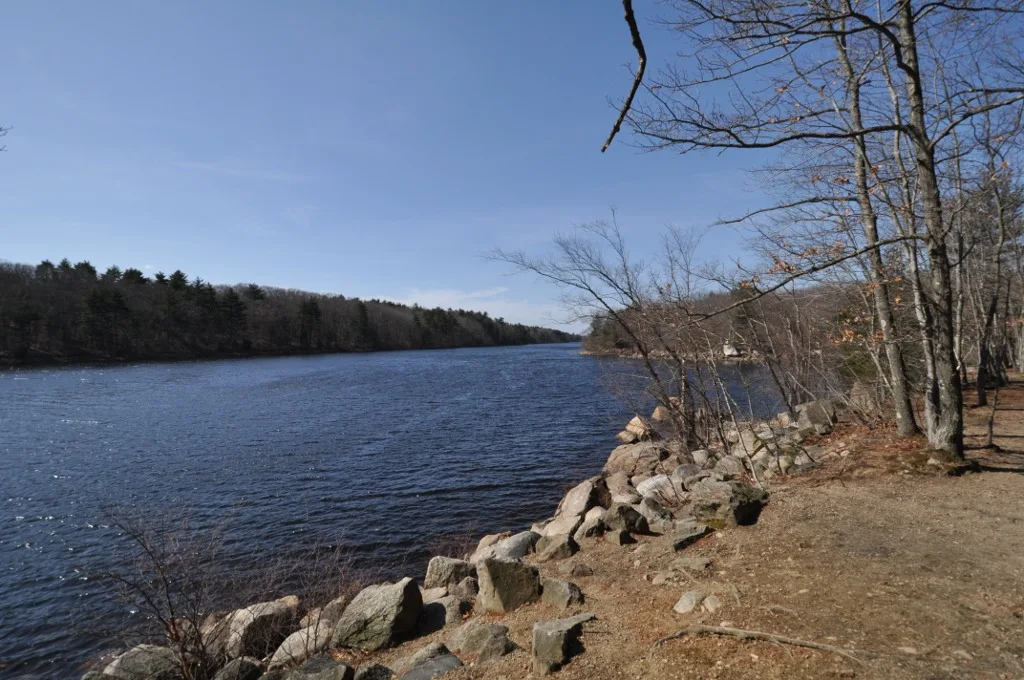 A dark blue lake with a rocky shore and bare trees