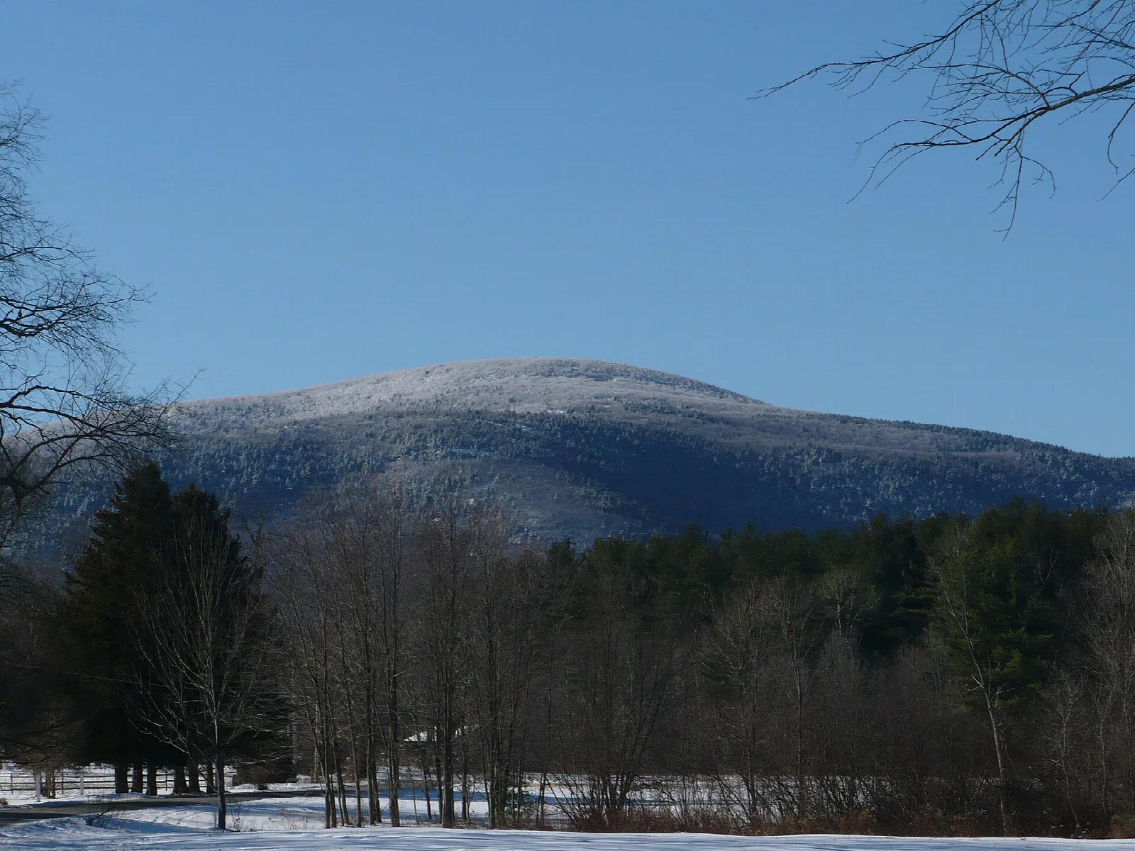 A snow-dusted mountain above bare trees and a snowy field