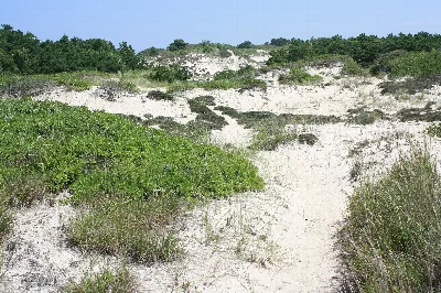 Horseneck Beach State Reservation