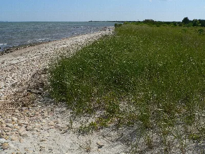 Demarest Lloyd State Park