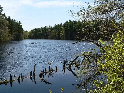 F. Gilbert Hills State Forest