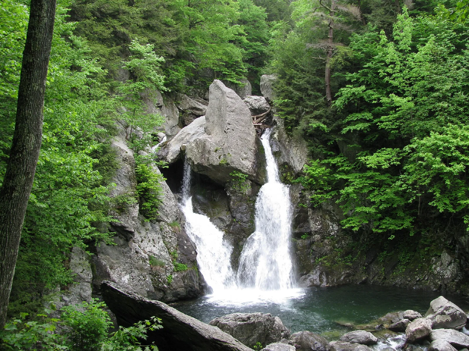 Narrow waterfall dropping between mossy rocks into a green pool, with forest on both sides