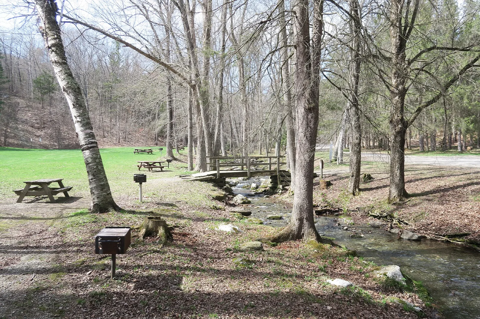 Pittsfield State Forest