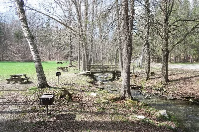 Pittsfield State Forest