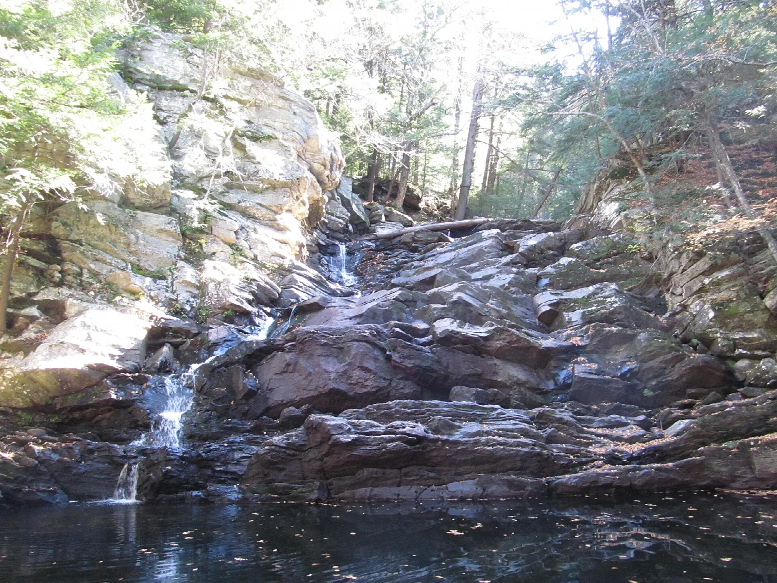 Water trickling down layered red rock into a dark pool, with rock walls and trees above