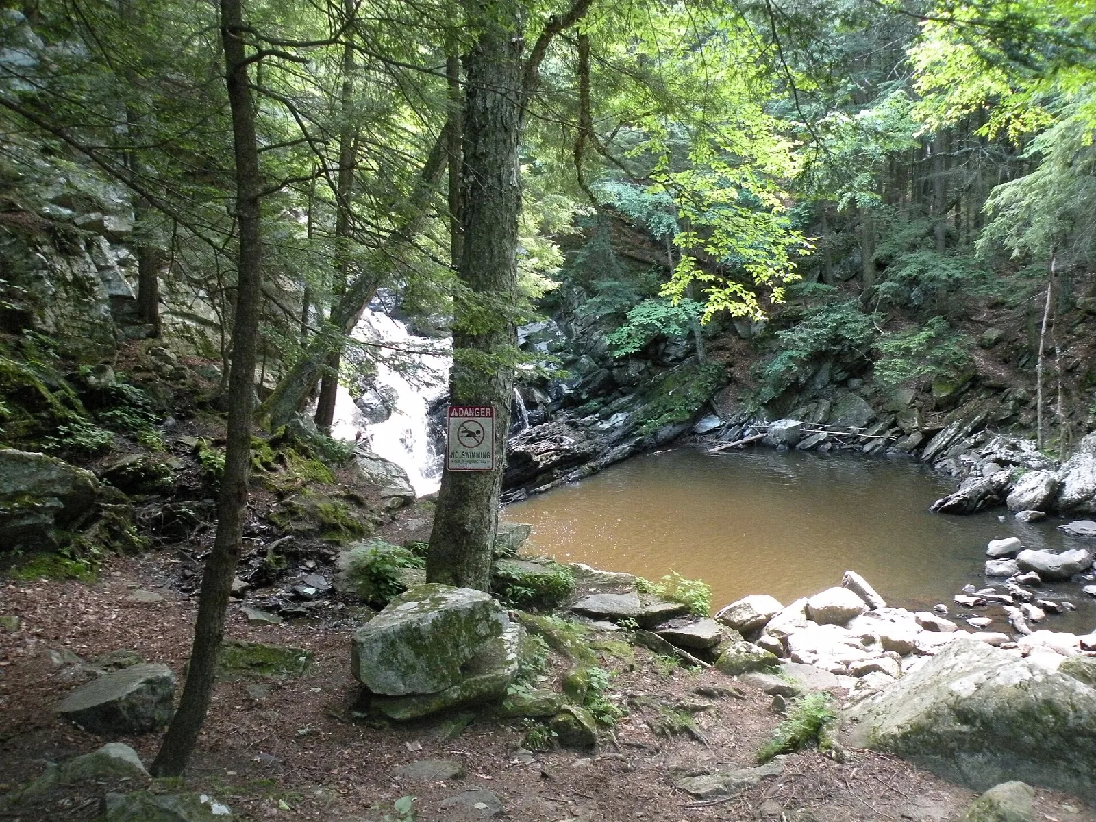 Brown pool at the base of a waterfall in a shady forest ravine