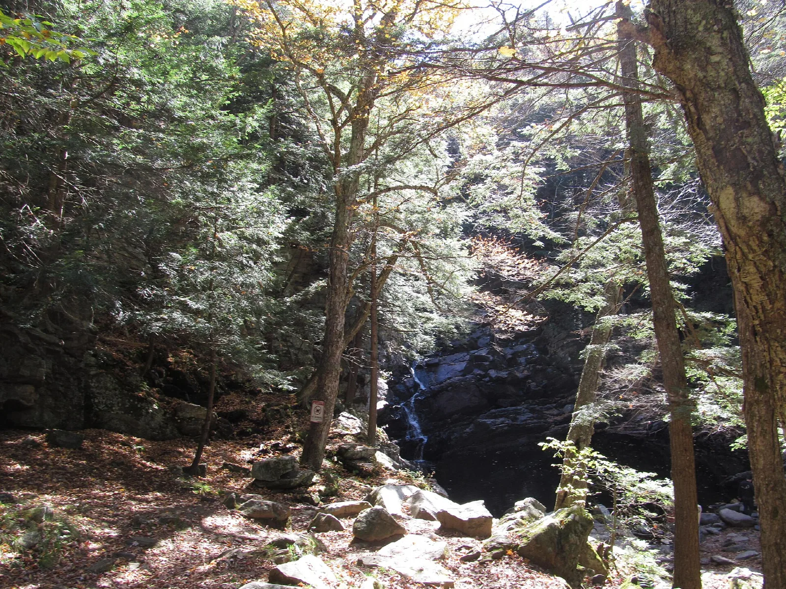 Dark rock chute with a small waterfall seen between trees
