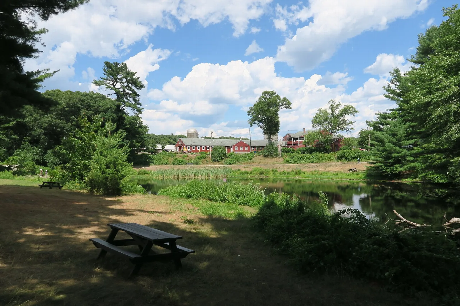 Picnic table by a grassy pond edge with a red farm building in the distance