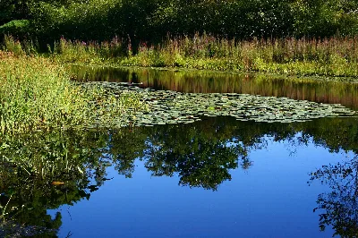 Great Brook Farm State Park
