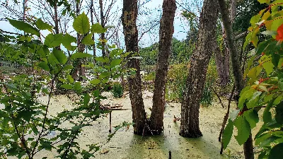 Beaver Brook North Reservation