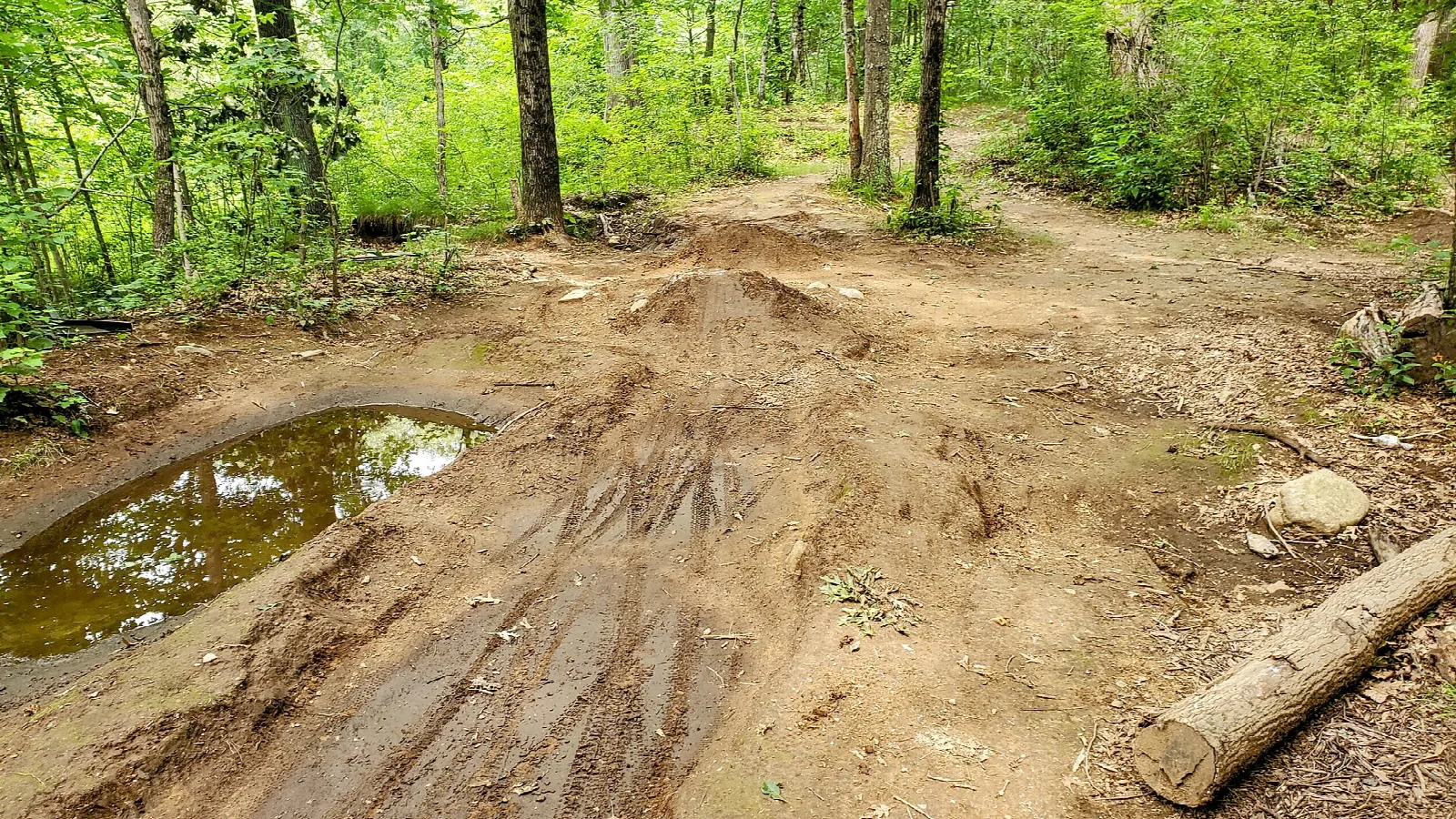 Muddy dirt bike trail through green woods with a puddle