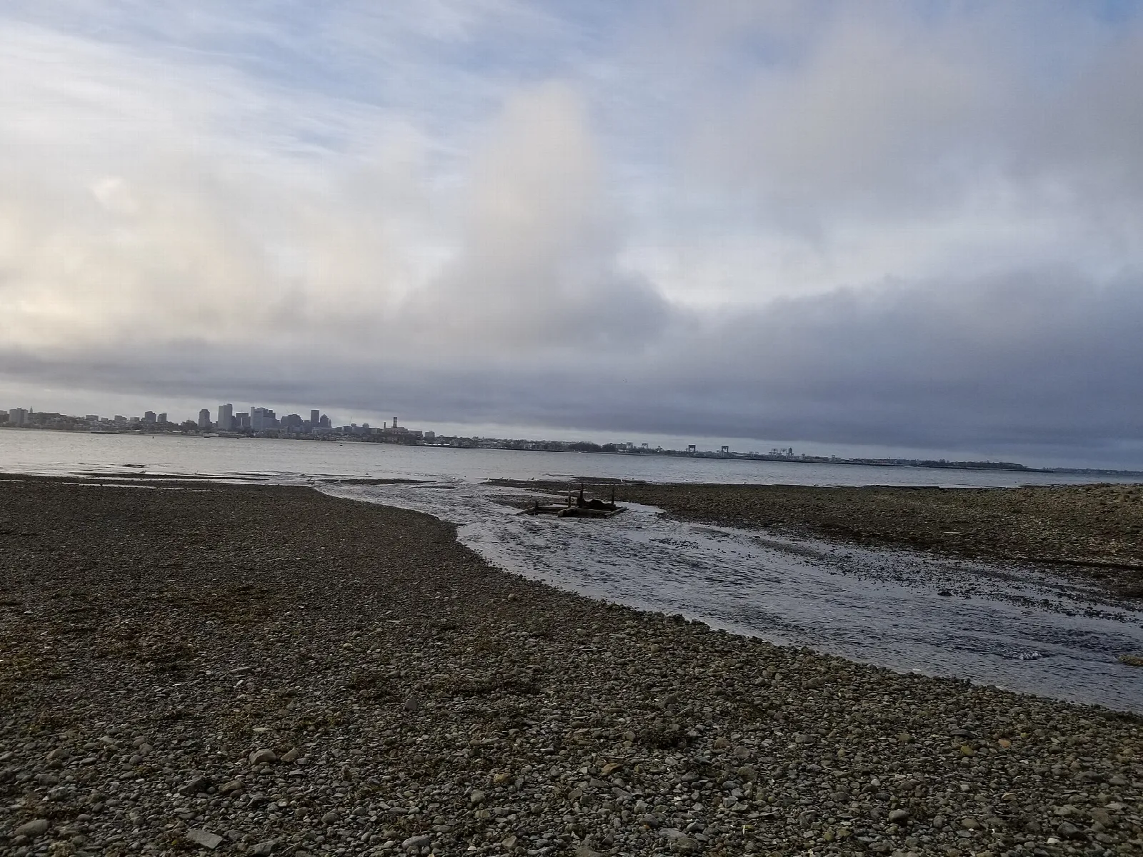 Tidal channel across a pebbly shore with the city skyline far away