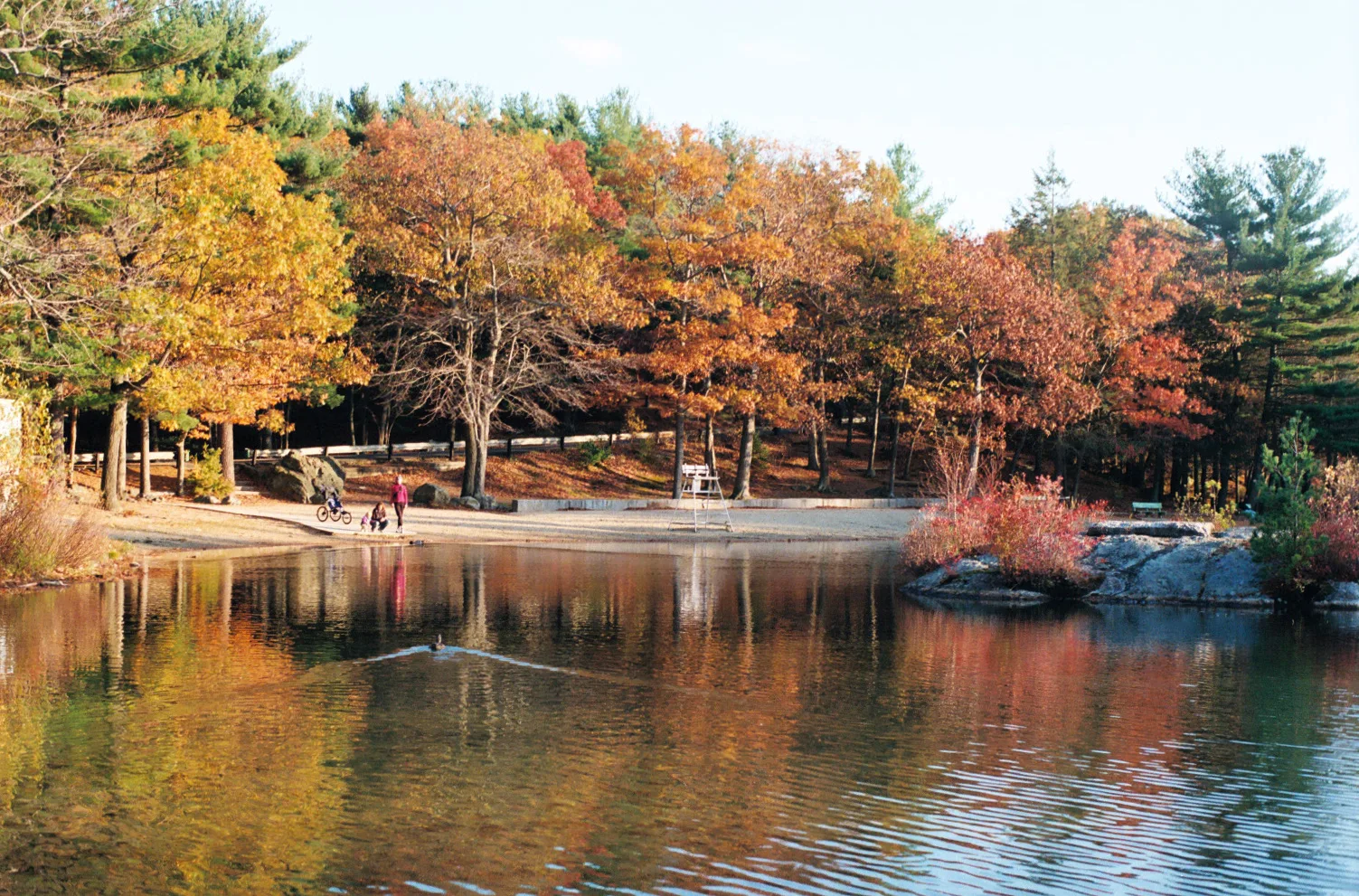 Lake with red and orange fall trees and a sandy shore reflected in still water