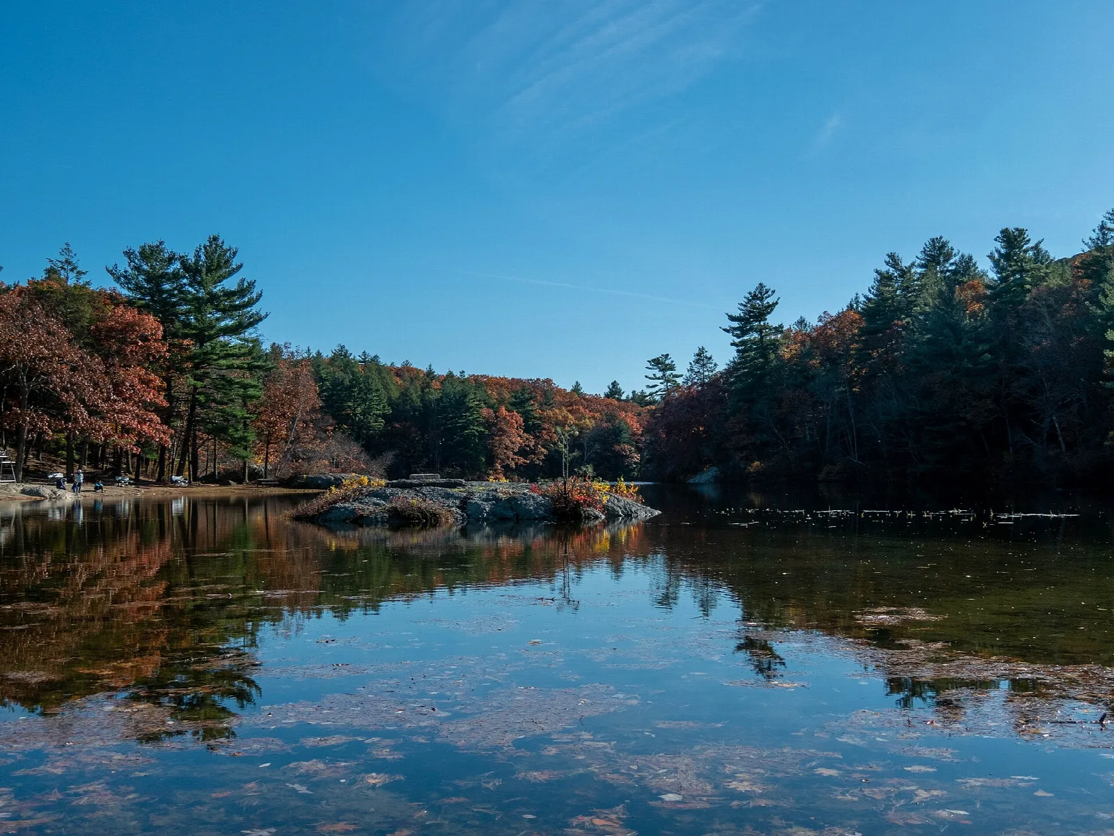Still lake with pines and fall color along the far shore